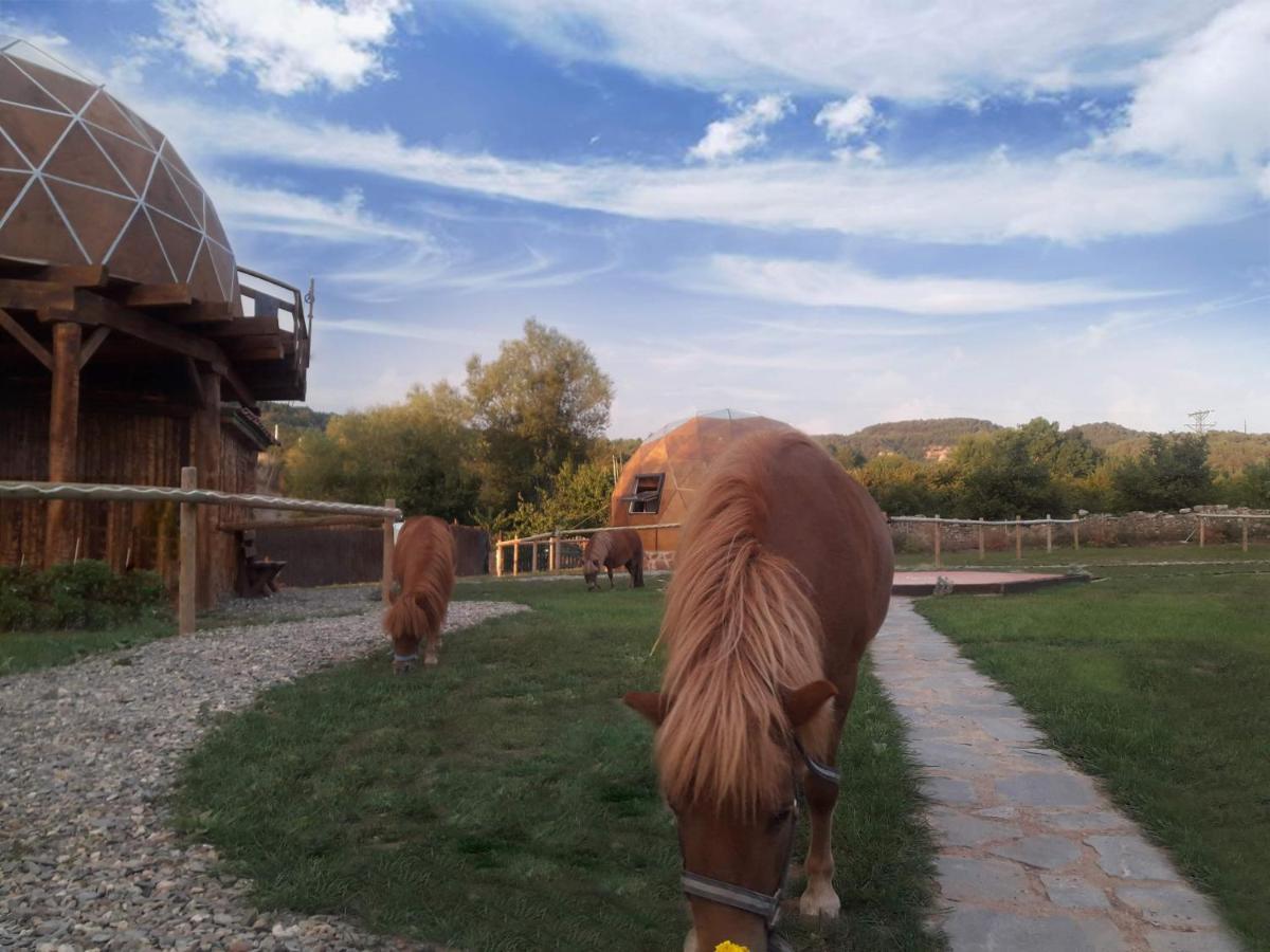 Xalet De Prades Aparthotel Εξωτερικό φωτογραφία